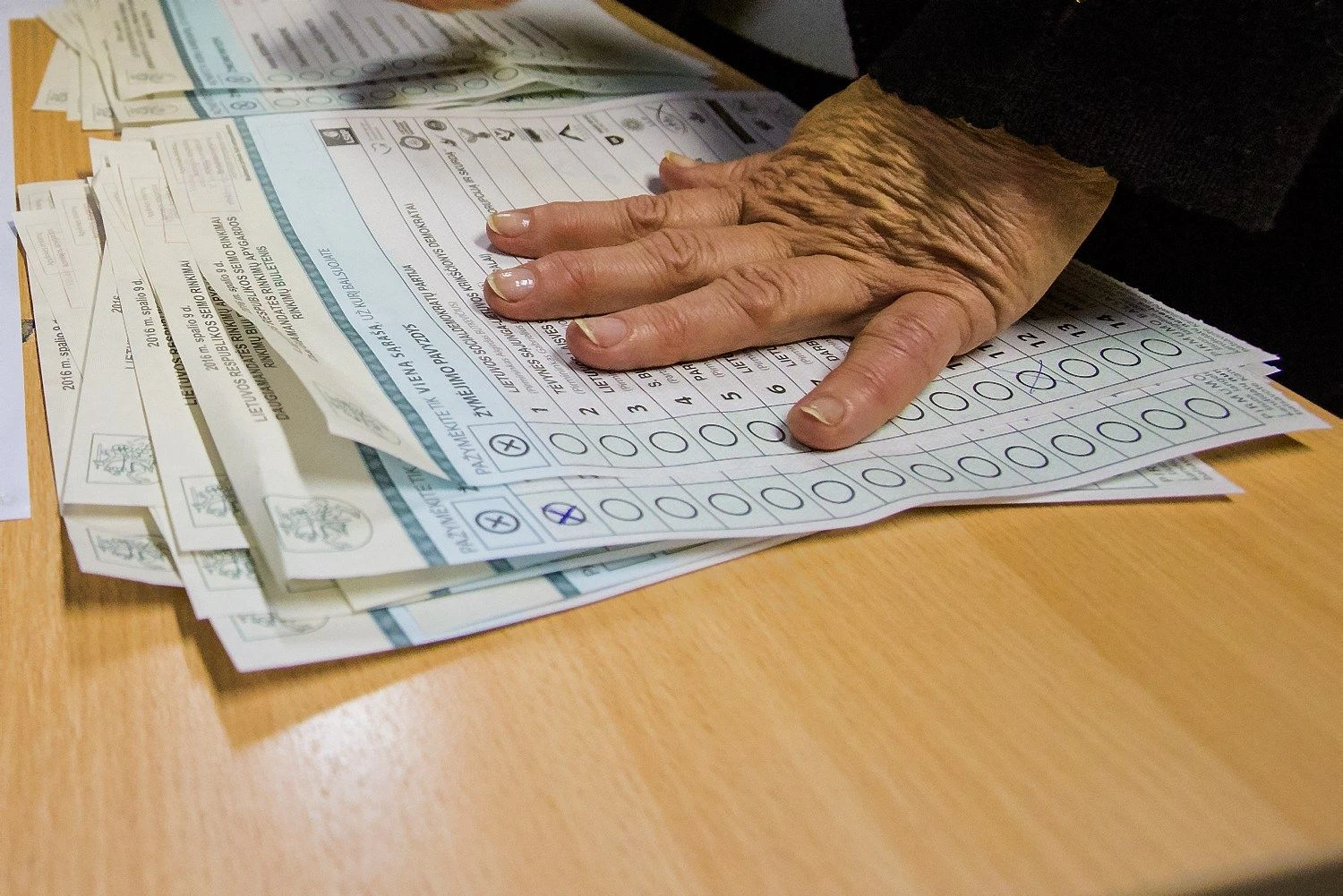 Vladimiro Ivanovo (VŽ) nuotr.