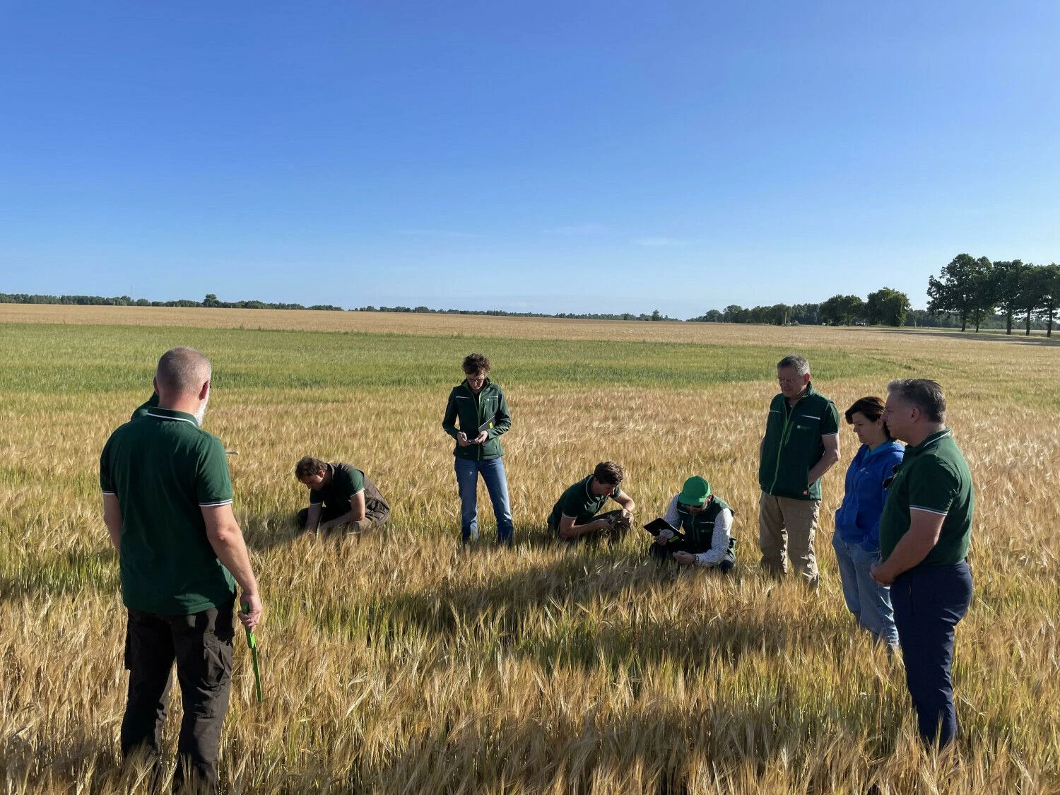 Žalos vertinimas. Fondo nuotr.