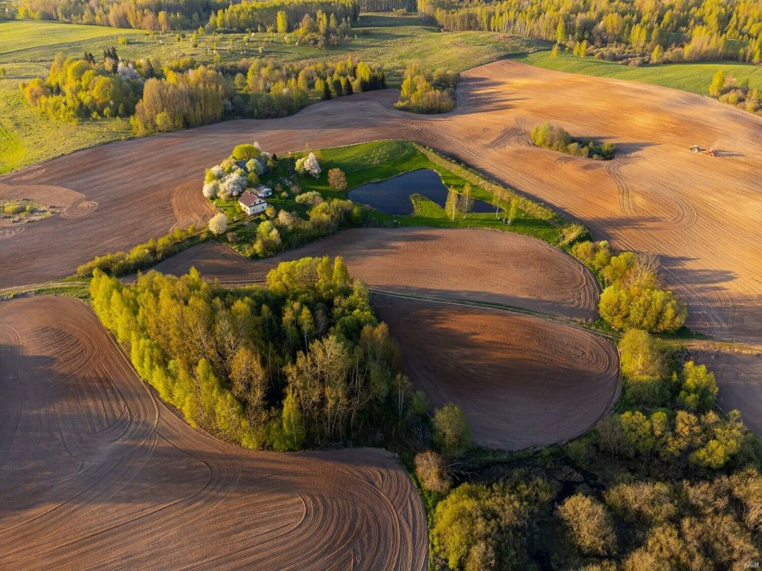 Vladimiro Ivanovo (VŽ) nuotr.