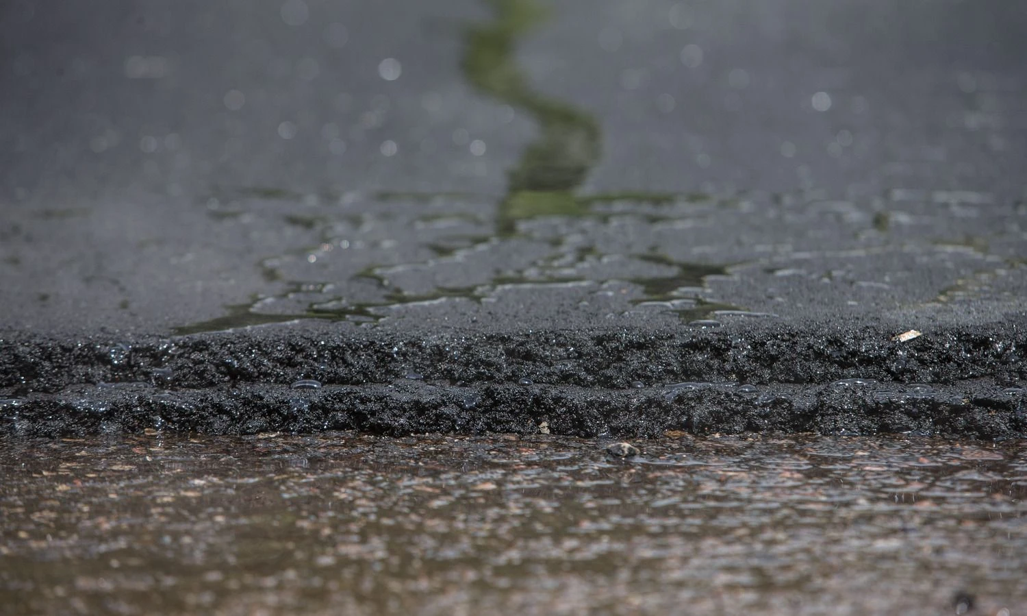 Juditos Grigelytės (VŽ) nuotr.