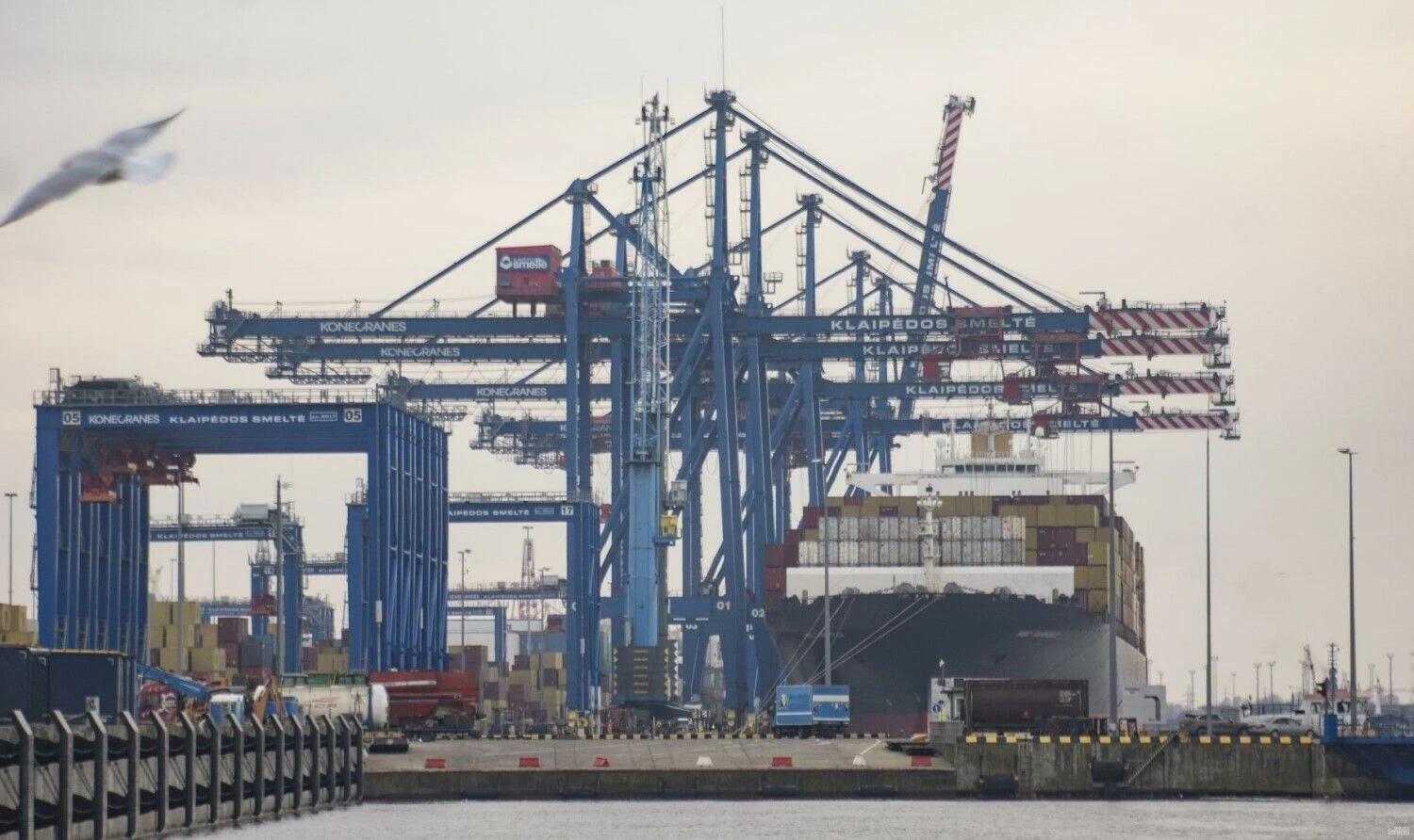 Algimanto Kalvaičio nuotr.