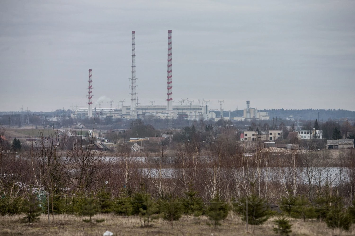 Juditos Grigelytės (VŽ) nuotr.