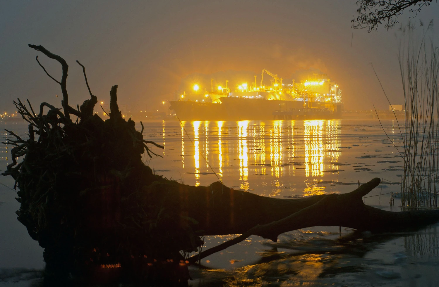 Algimanto Kalvaičio (VŽ) nuotr.