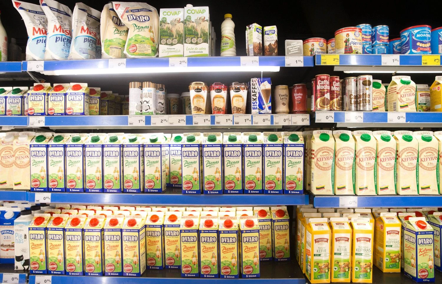 Juditos Grigelytės (VŽ) nuotr.