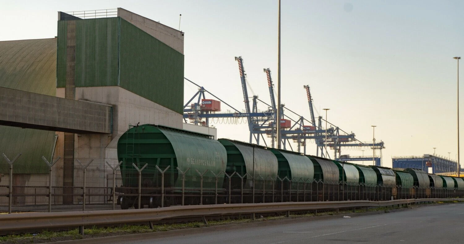 Algimanto Kalvaičio nuotr.