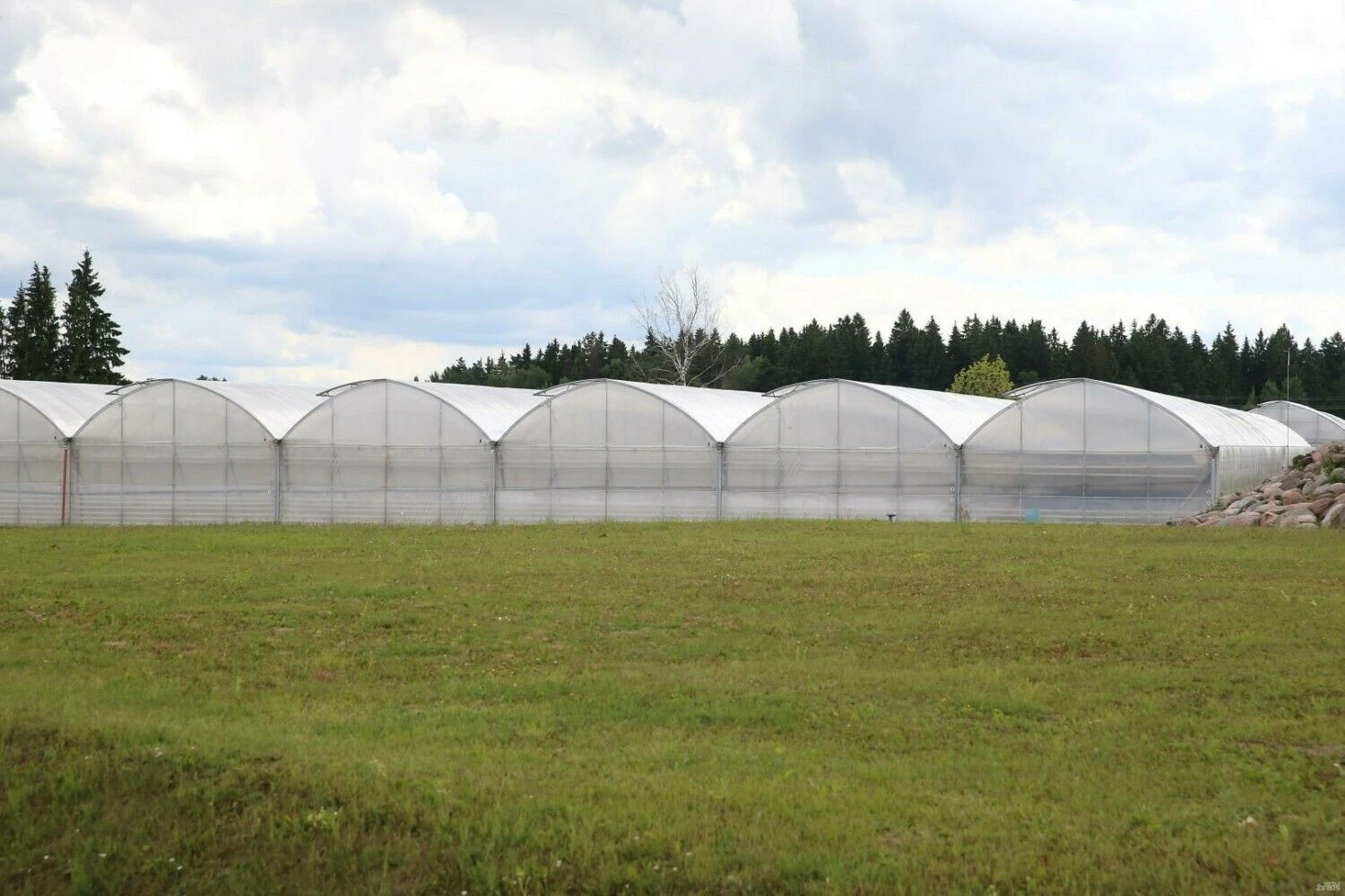 Vladimiro Ivanovo (VŽ) nuotr.