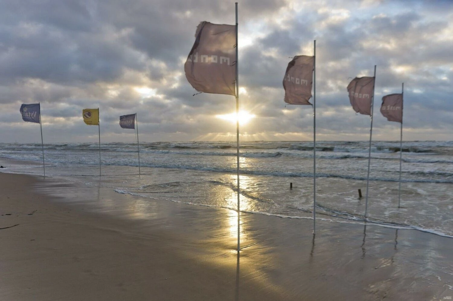 Algimanto Kalvaičio nuotr.