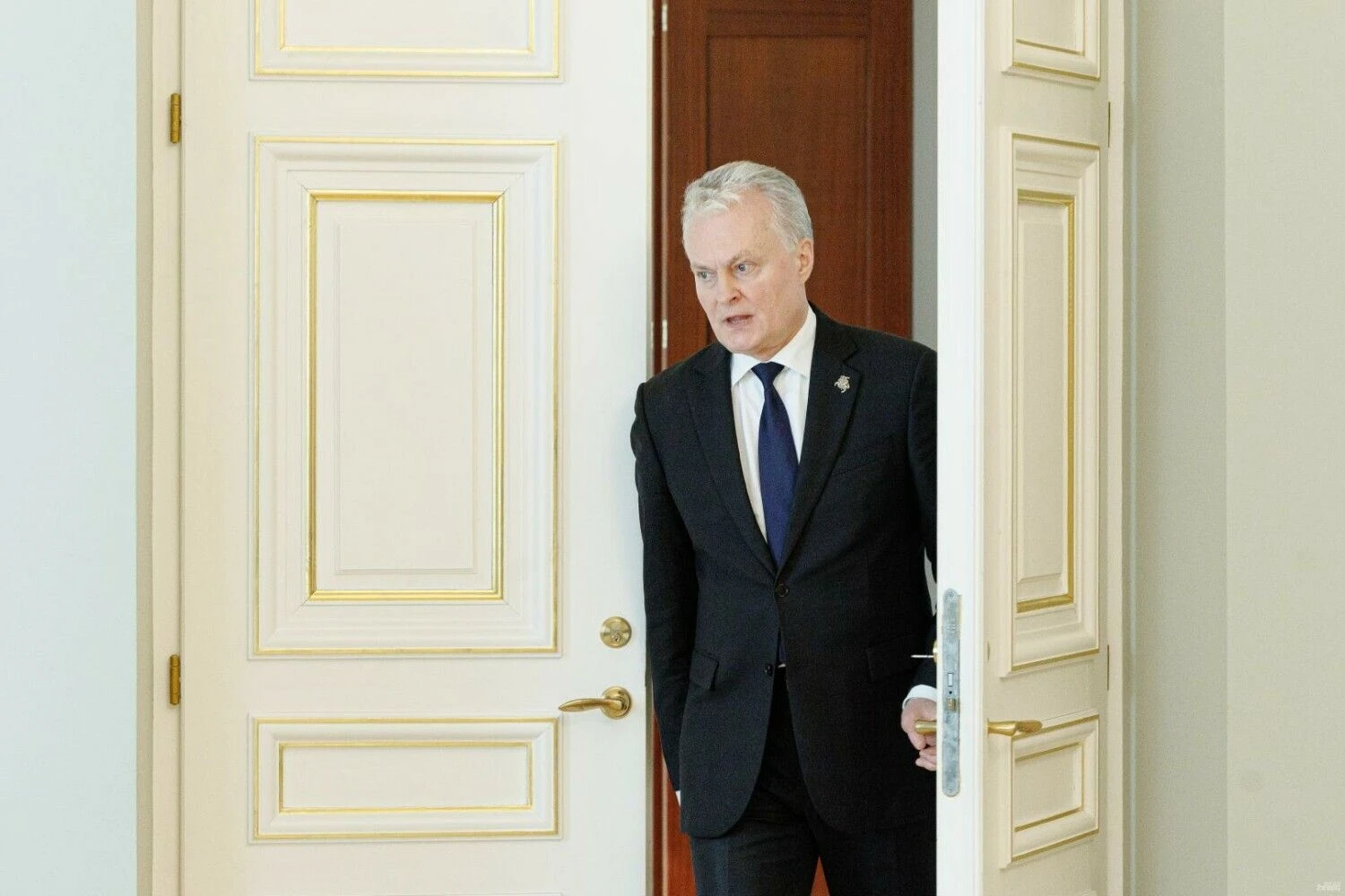 Gitanas Nausėda. Vladimiro Ivanovo (VŽ) nuotr.