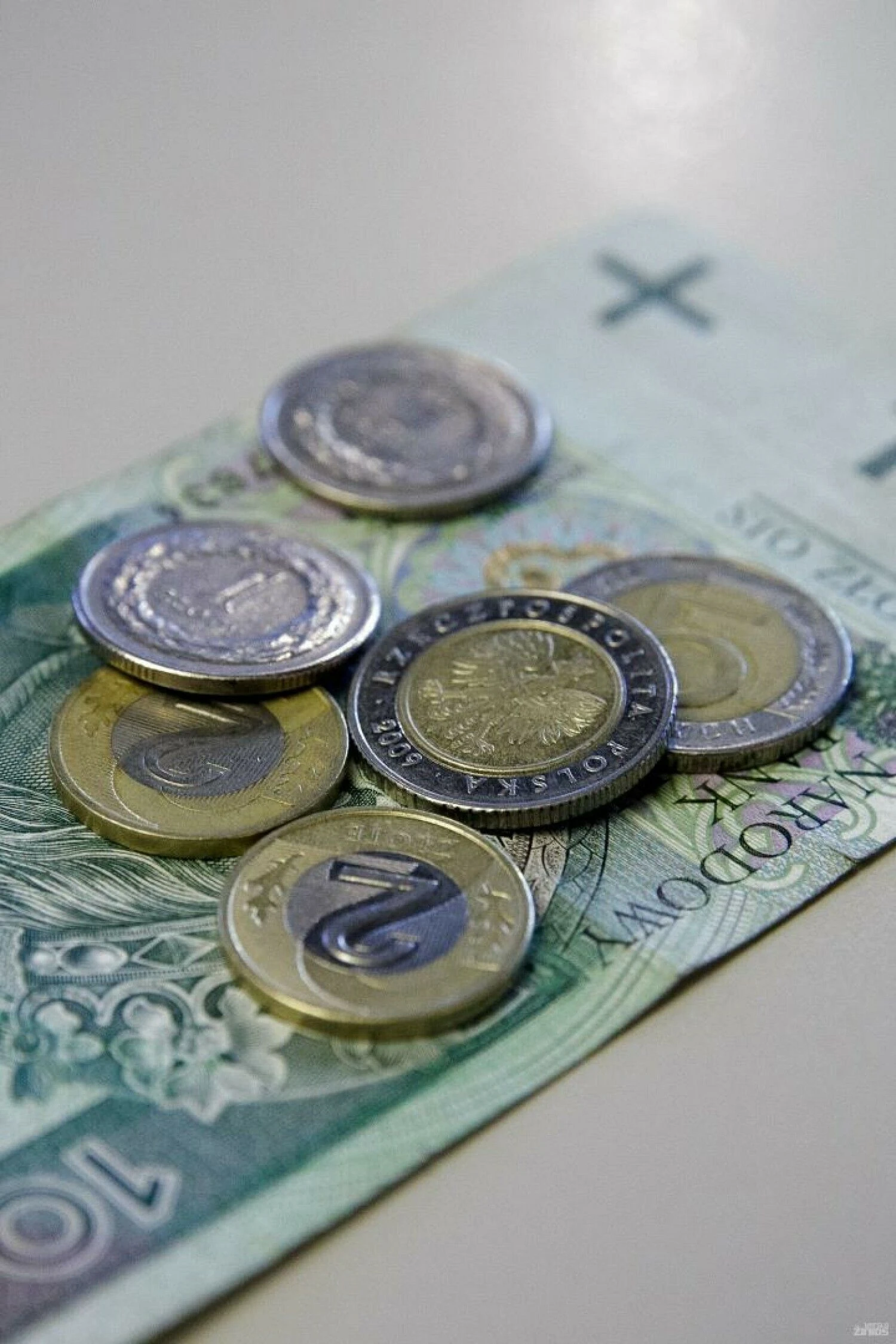 Vladimiro Ivanovo (VŽ) nuotr.