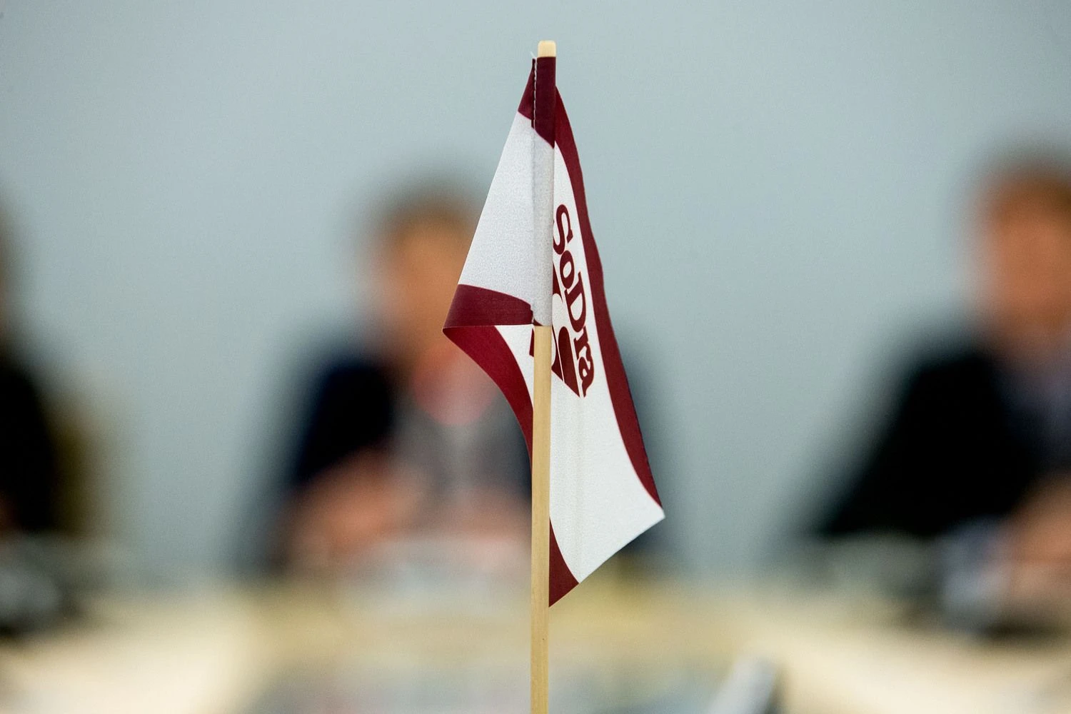 Vladimiro Ivanovo (VŽ) nuotr.