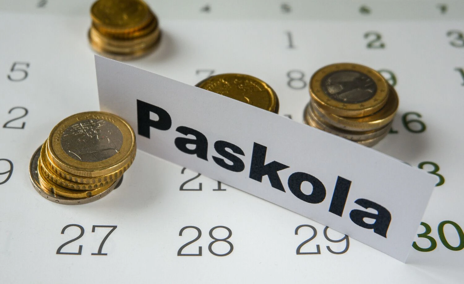 Juditos Grigelytės (VŽ) nuotr.