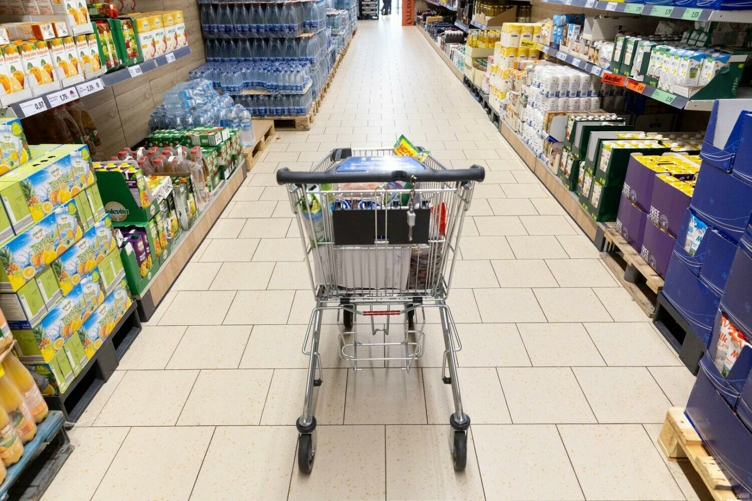 Juditos Grigelytės (VŽ) nuotr.