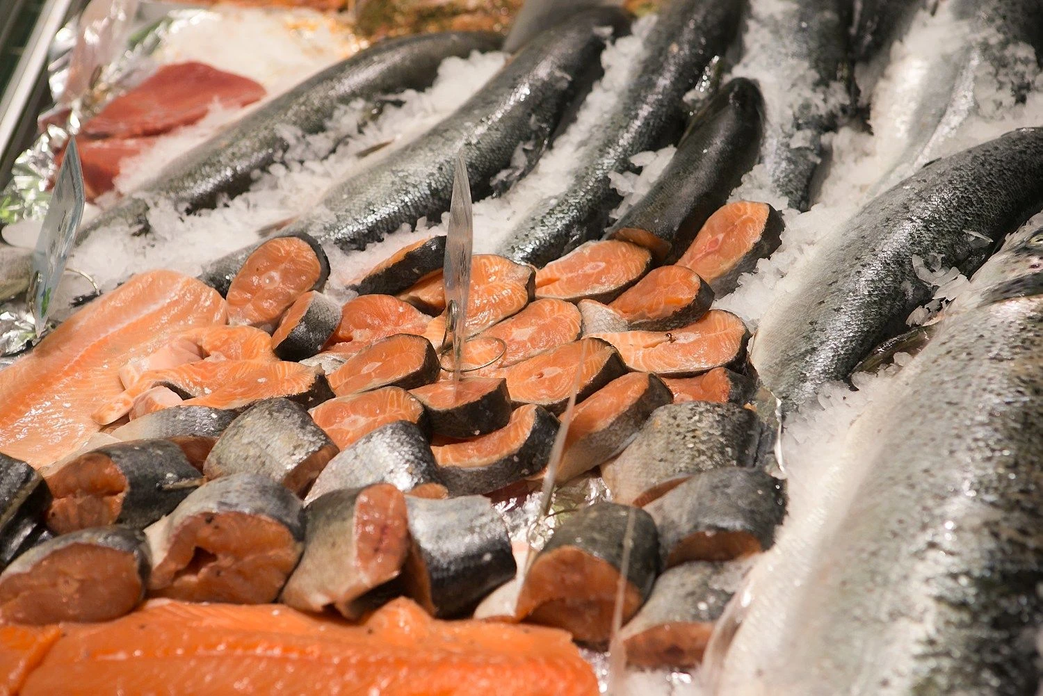 Genetiškai modifikuota lašišaa JAV bus pradėta pardavinėti 2017 m. Juditos Grigelytės (VŽ) nuotr.