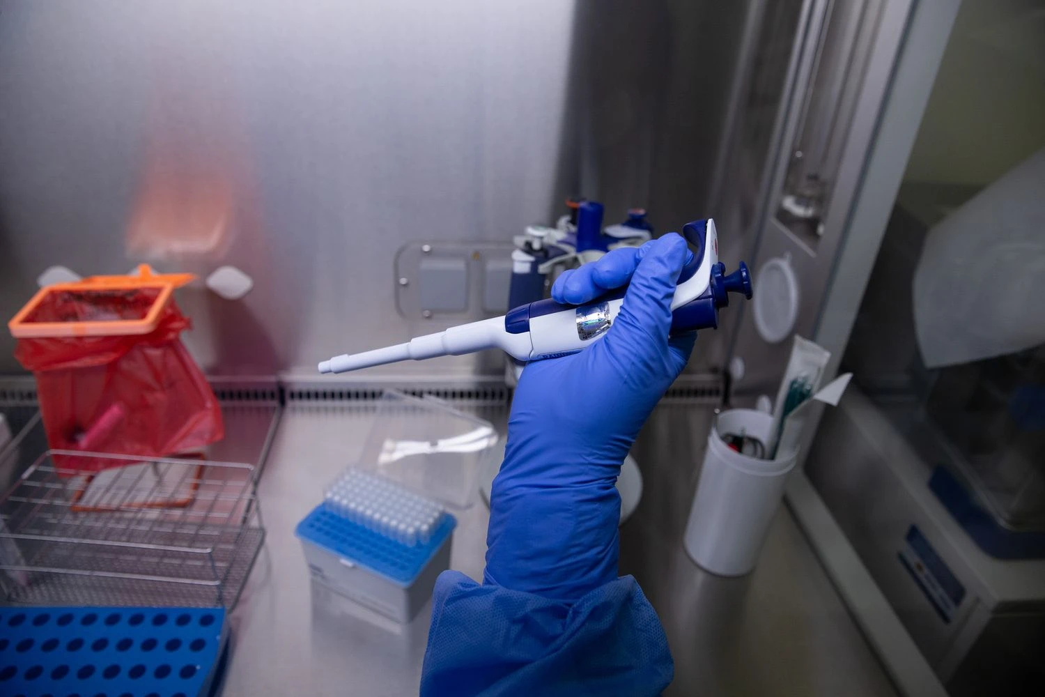 Vladimiro Ivanovo (VŽ) nuotr.