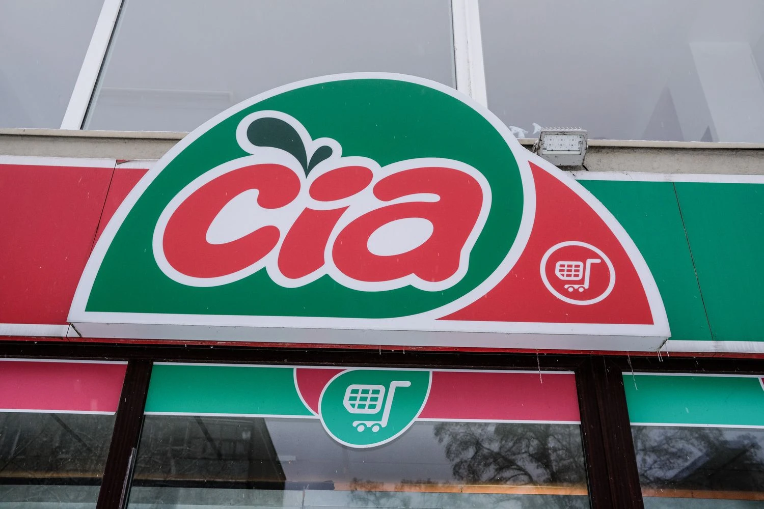 Vladimiro Ivanovo (VŽ) nuotr.