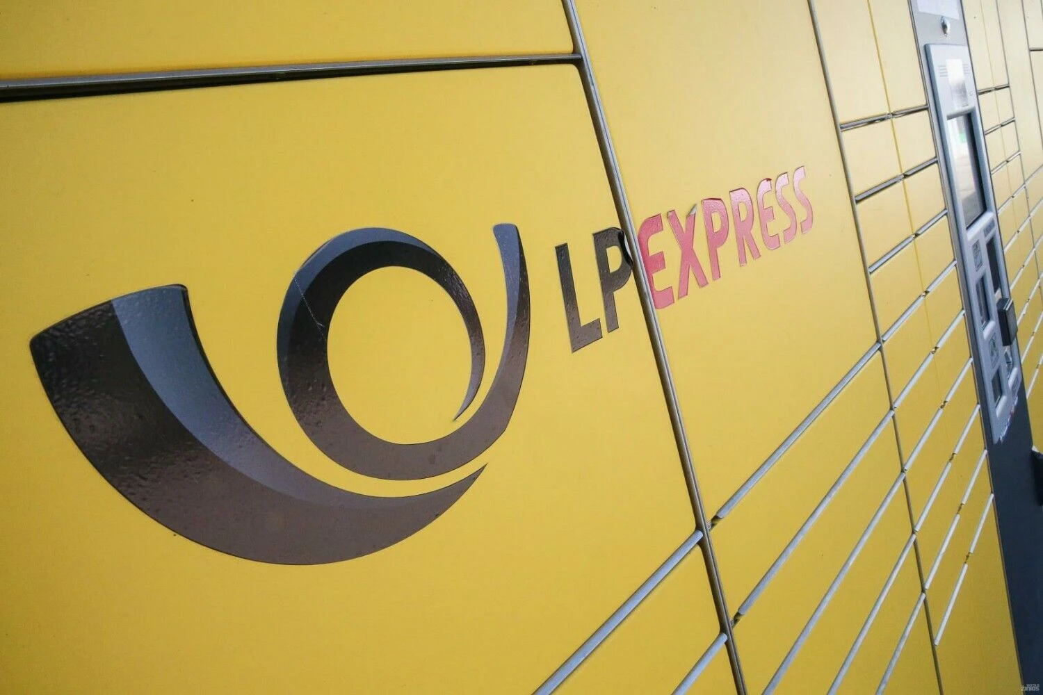 Vladimiro Ivanovo (VŽ) nuotr.