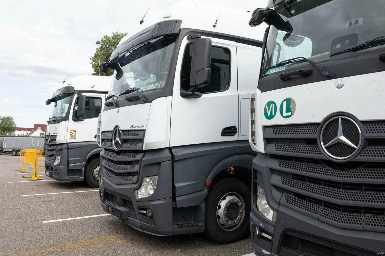 Juditos Grigelytės (VŽ) nuotr.