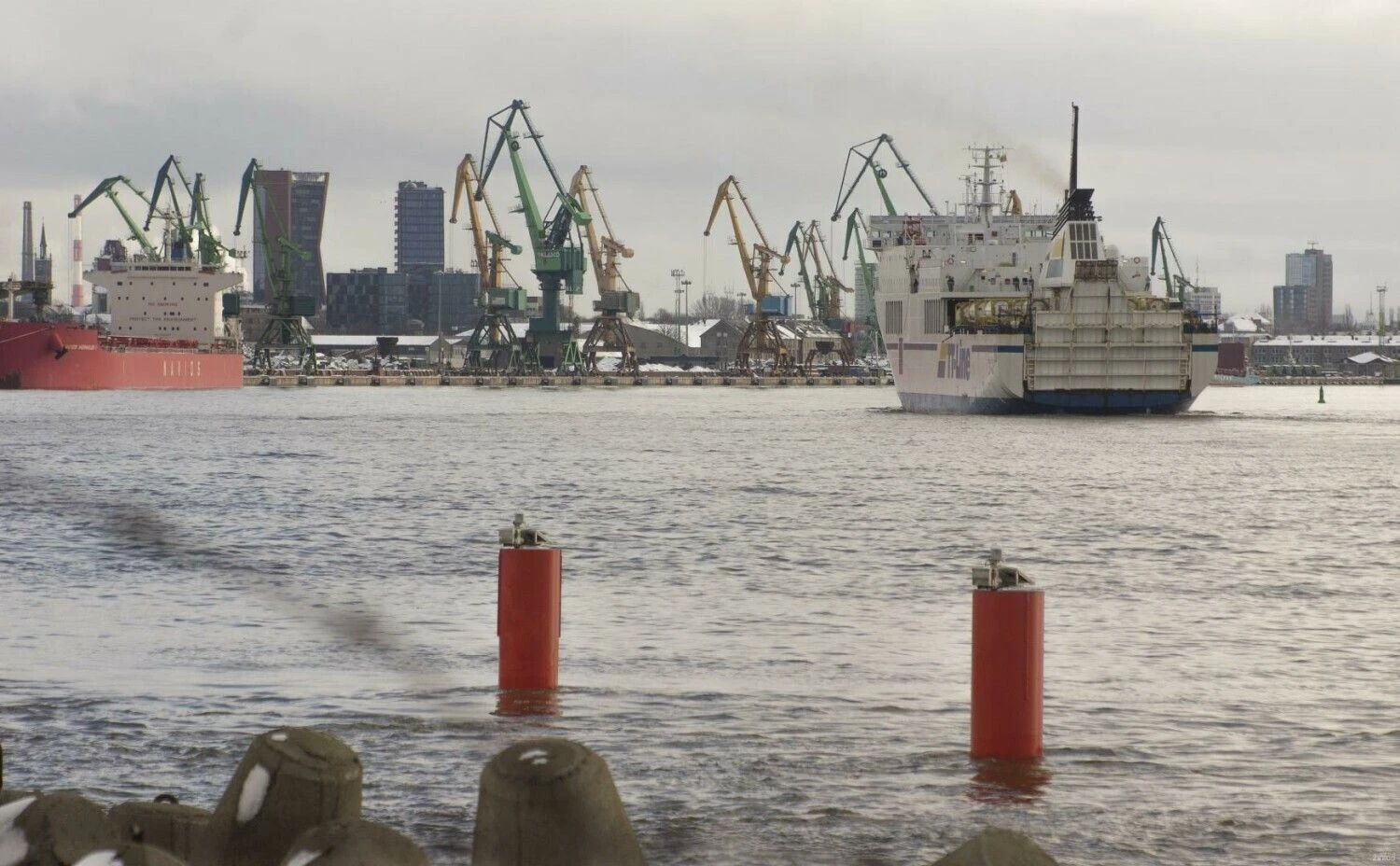 Algimanto Kalvaičio nuotr.