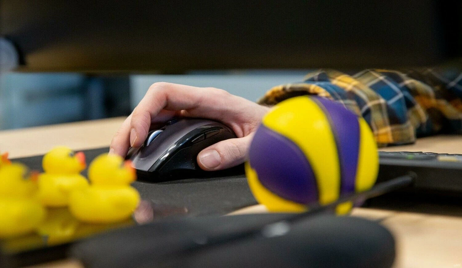 Juditos Grigelytės (VŽ) nuotr.