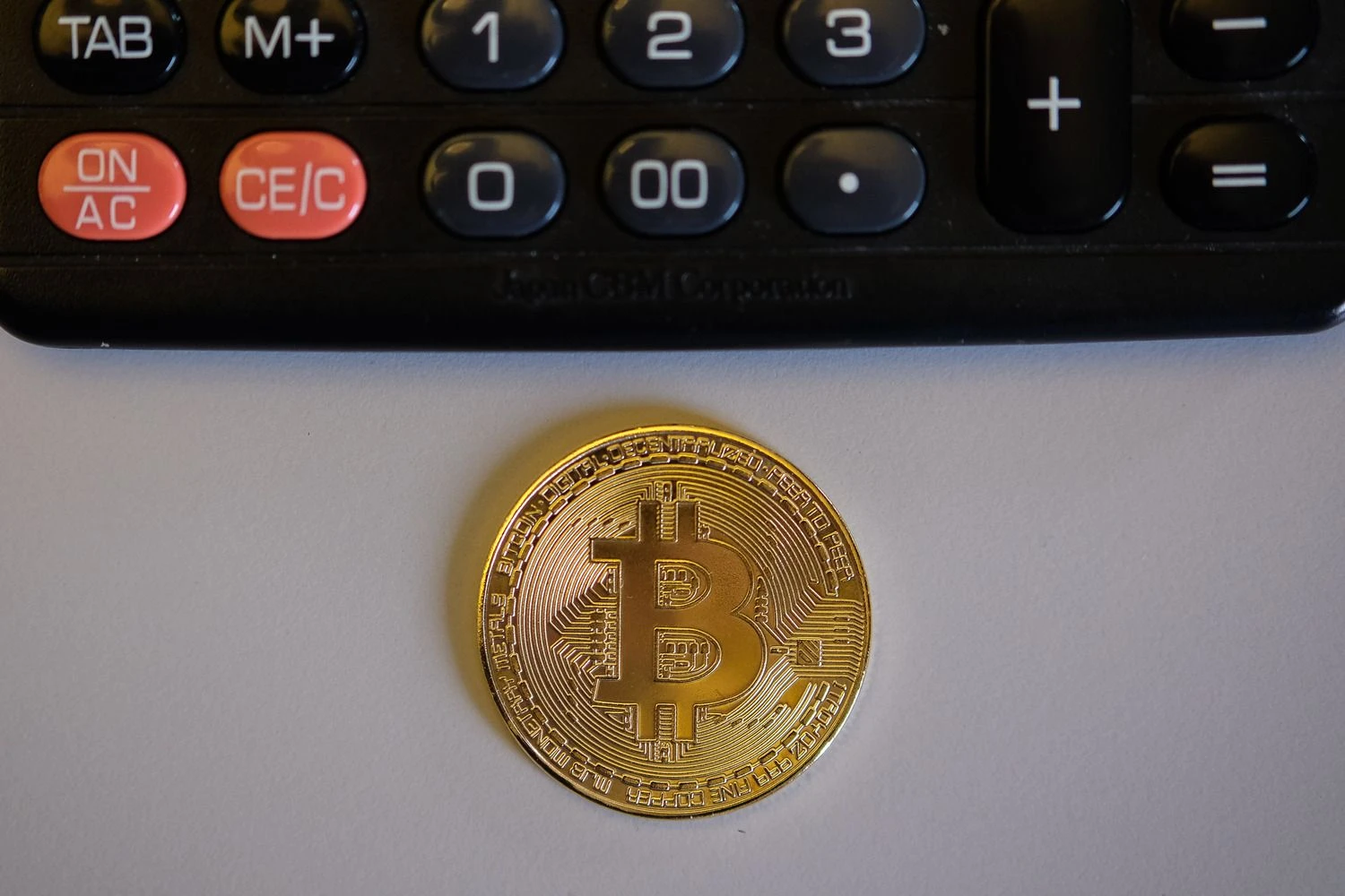 Vladimiro Ivanovo (VŽ) nuotr.