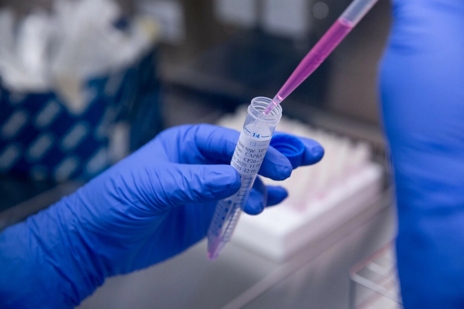 Vladimiro Ivanovo (VŽ) nuotr.