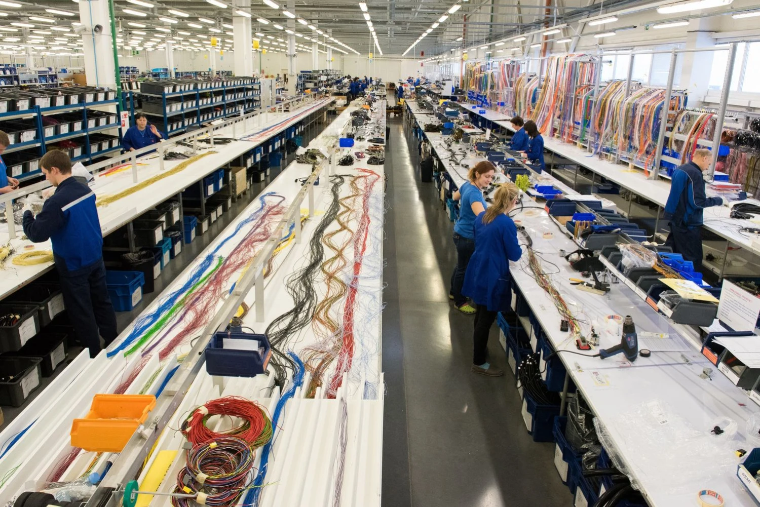 Petro Alinaičio nuotr.