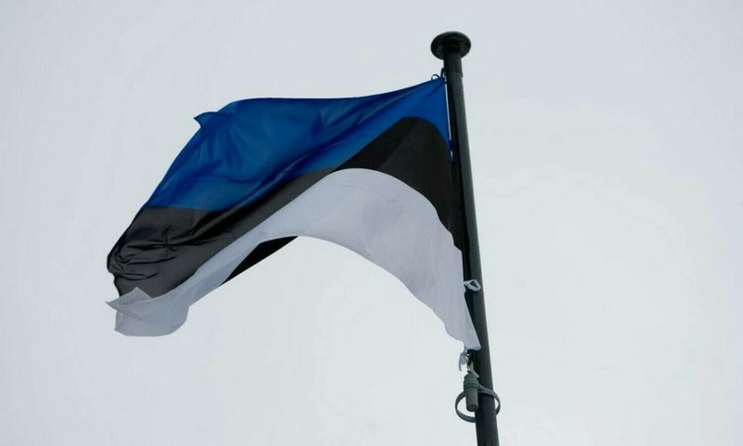 Juditos Grigelytės (VŽ) nuotr.