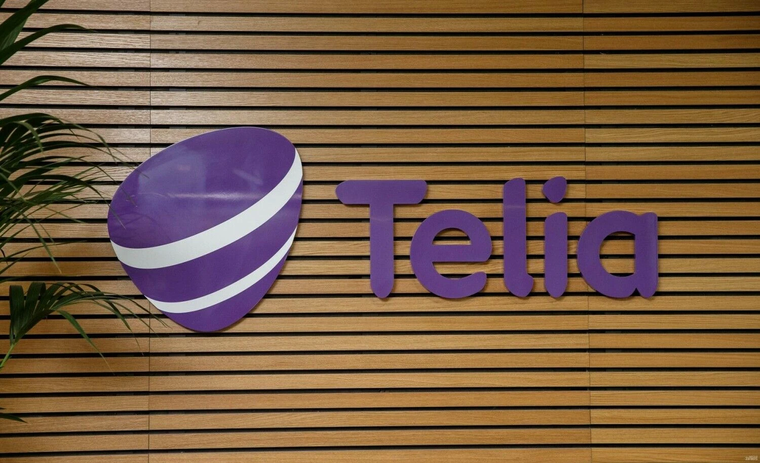 Juditos Grigelytės (VŽ) nuotr.