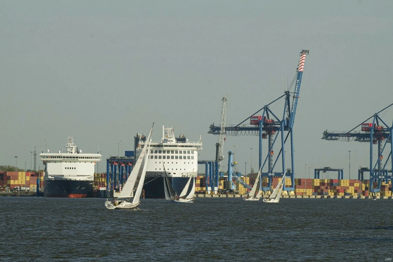 Algimanto Kalvaičio nuotr.