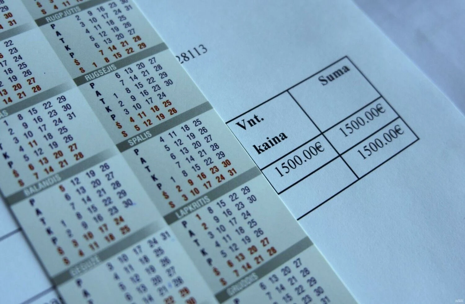 Juditos Grigelytės (VŽ) nuotr.