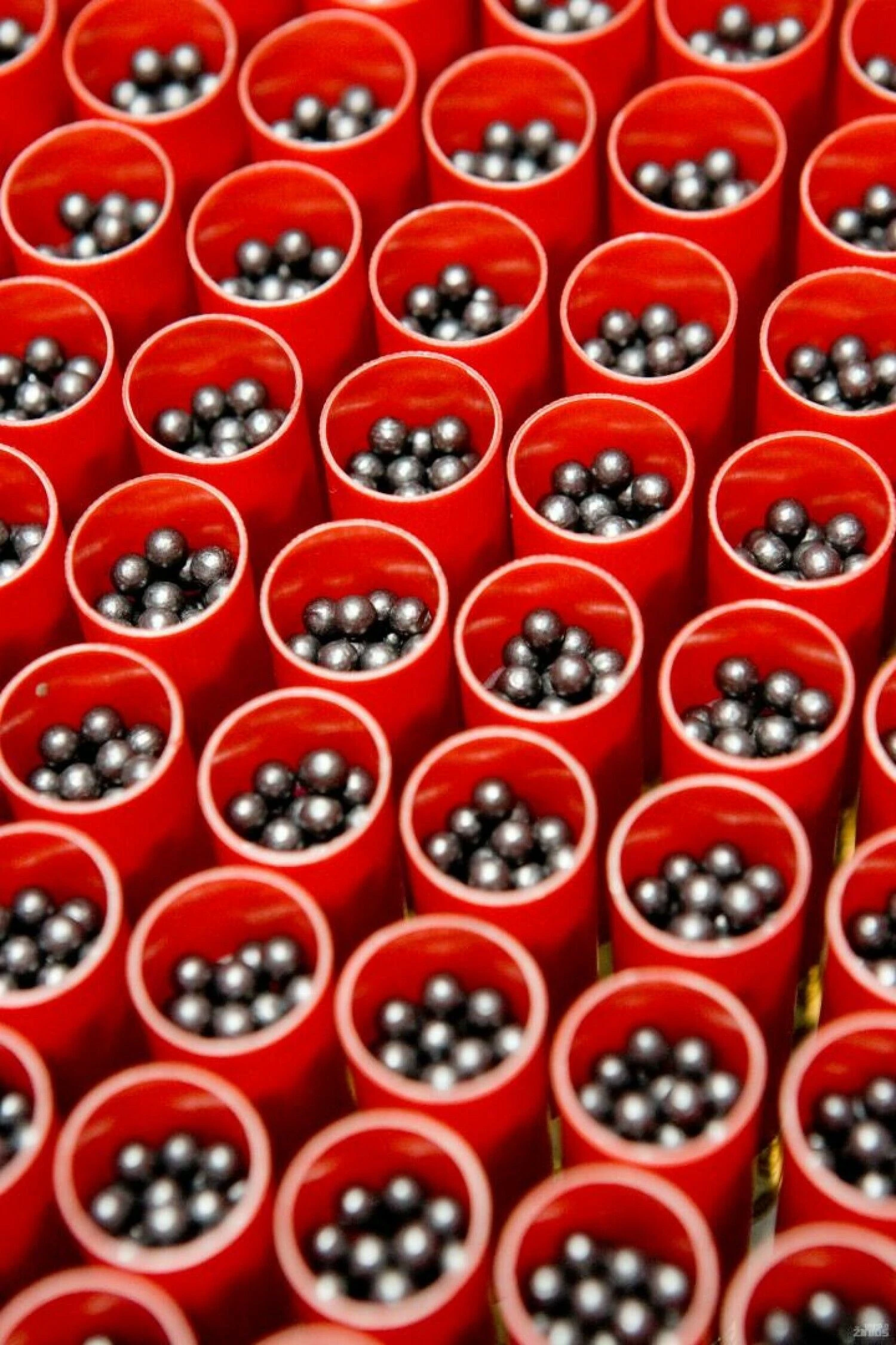 Vladimiro Ivanovo (VŽ) nuotr.