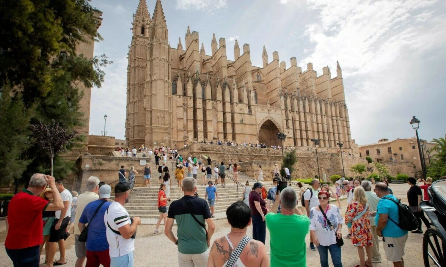 Palmos katedra Palma de Maljorkoje, 2024 m. liepos 6 d. Jeime Reina (AFP / „Scanpix“) nuotr.