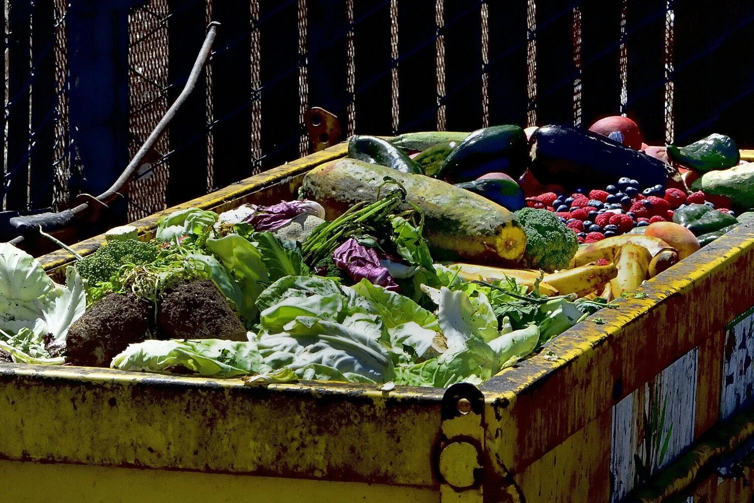 Rory Merry („ZUMA Press Wire“ / „Scanpix“) nuotr.