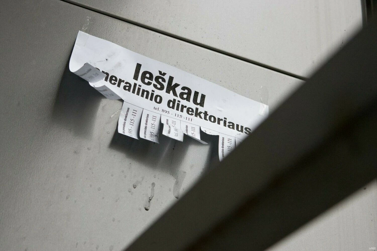 Vladimiro Ivanovo (VŽ) nuotr.