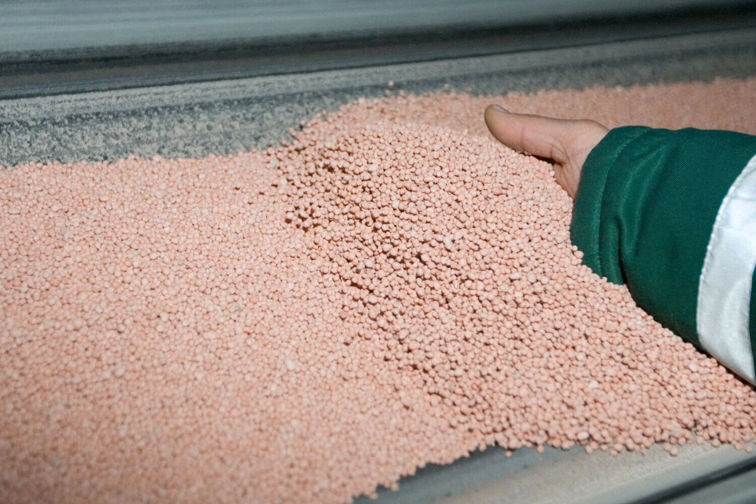 Vladimiro Ivanovo (VŽ) nuotr.