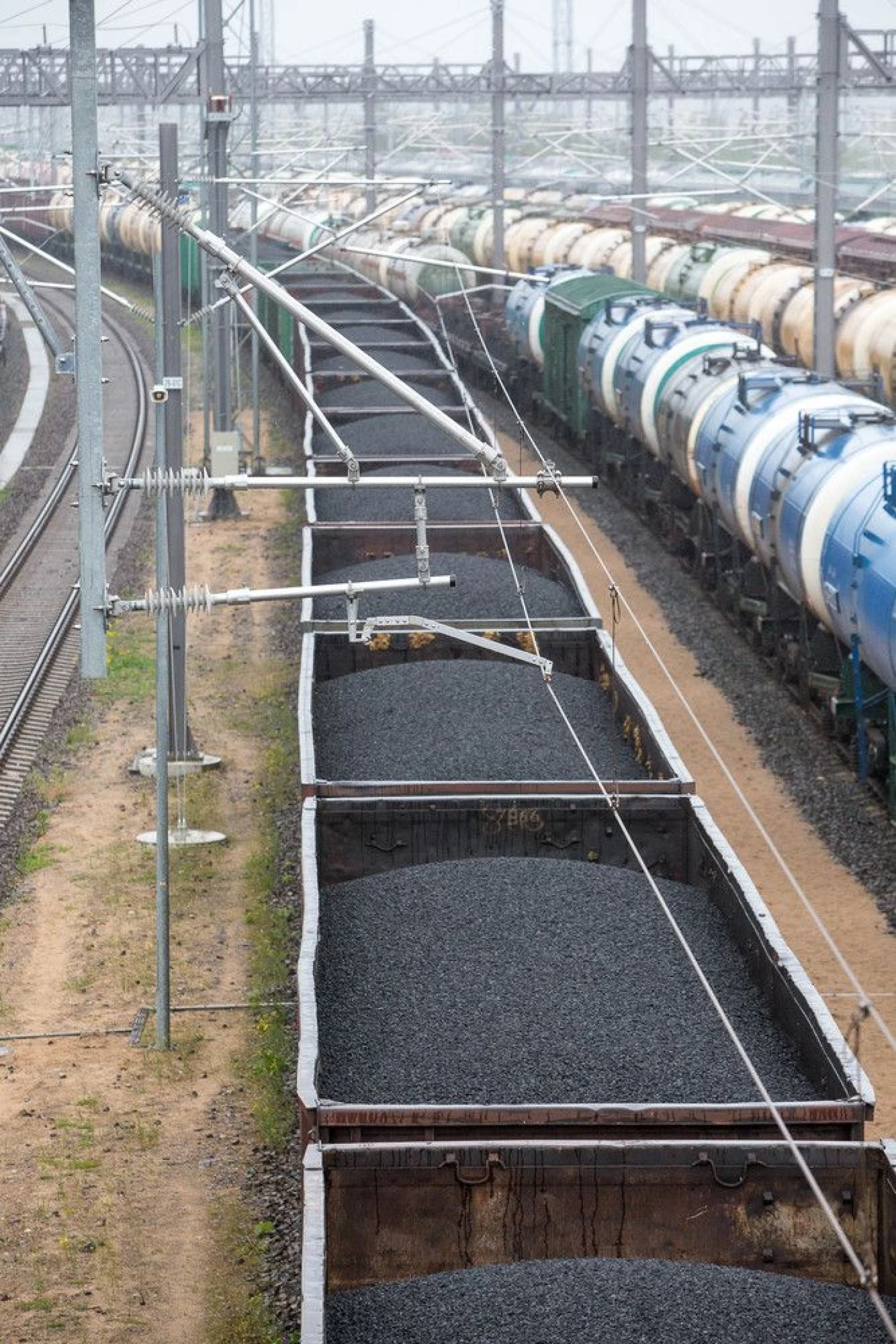 Vladimiro Ivanovo (VŽ) nuotr.