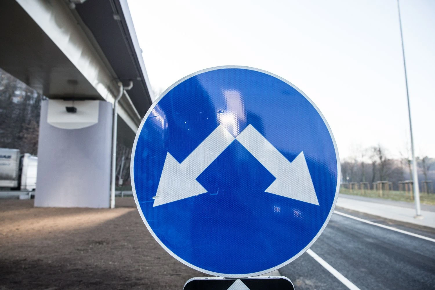 Juditos Grigelytės (VŽ) nuotr.