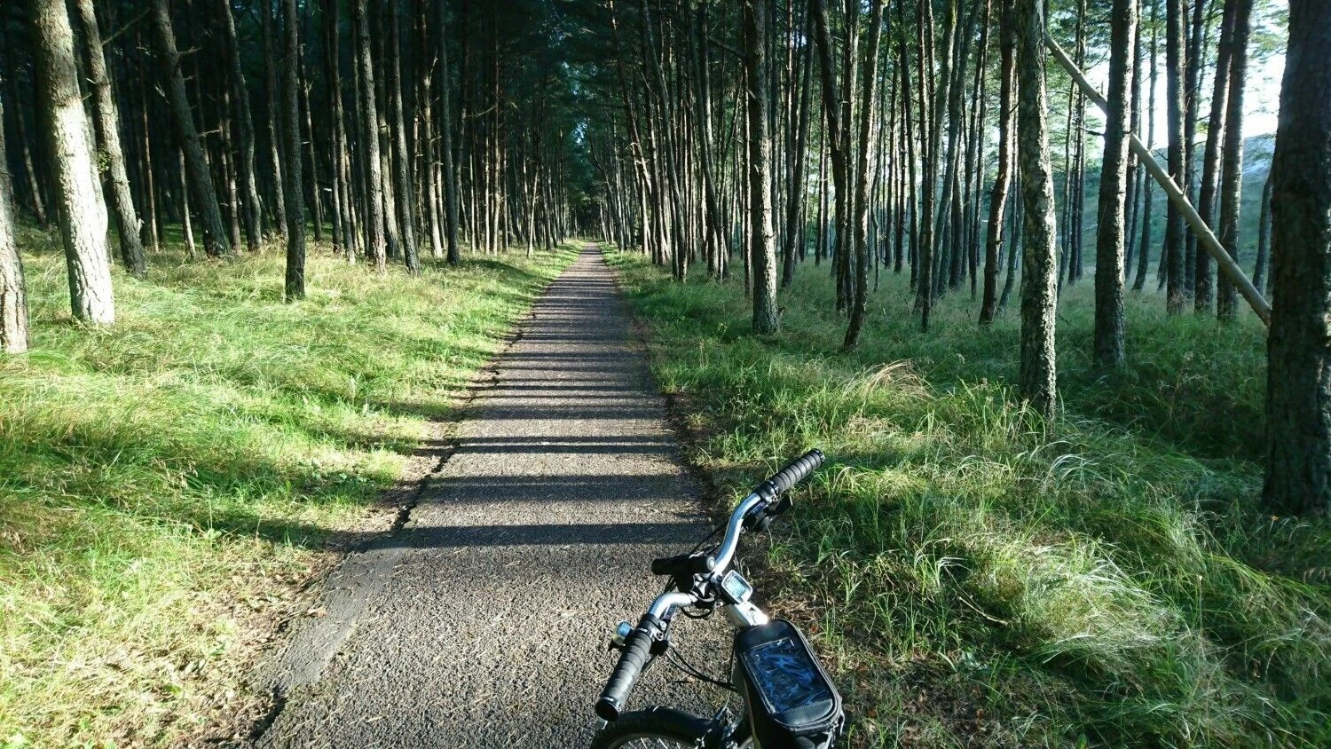 Dviračių takas Neringoje. Lino Butkaus (VŽ) nuotr.