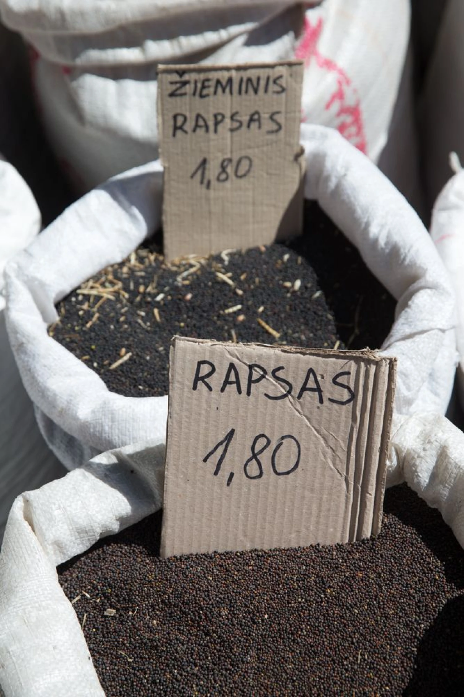 Juditos Grigelytės (VŽ) nuotr.