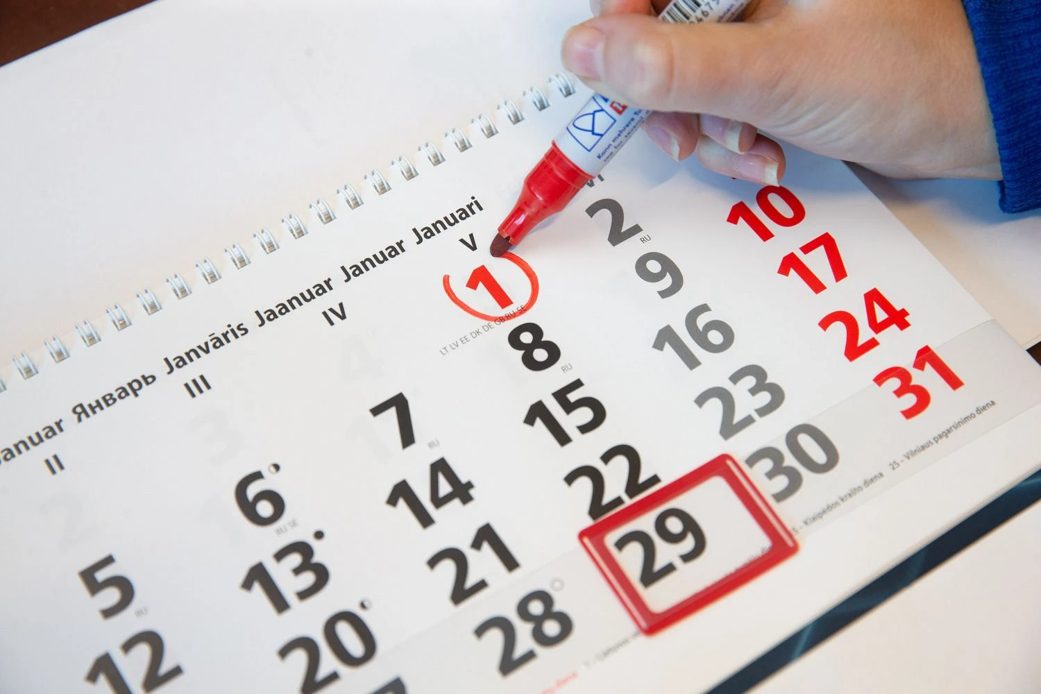 Juditos Grigelytės (VŽ) nuotr.