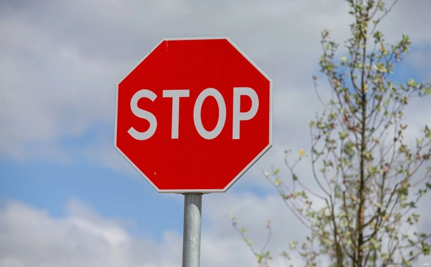 Juditos Grigelytės (VŽ) nuotr.