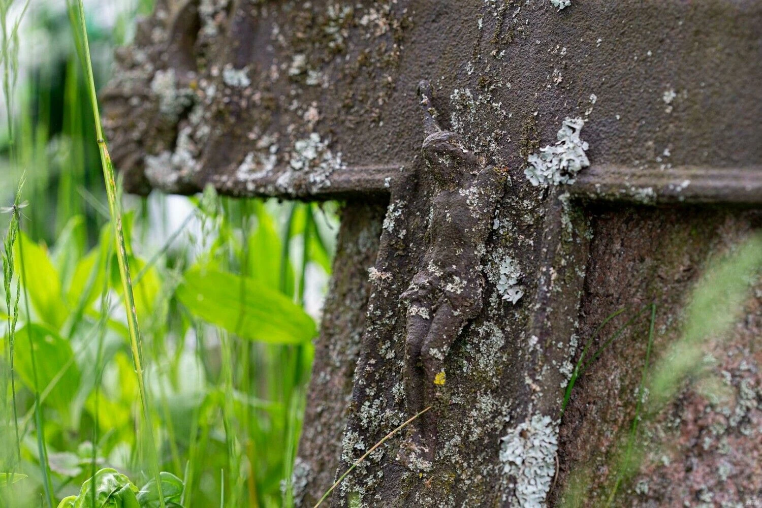 Juditos Grigelytės (VŽ) nuotr.