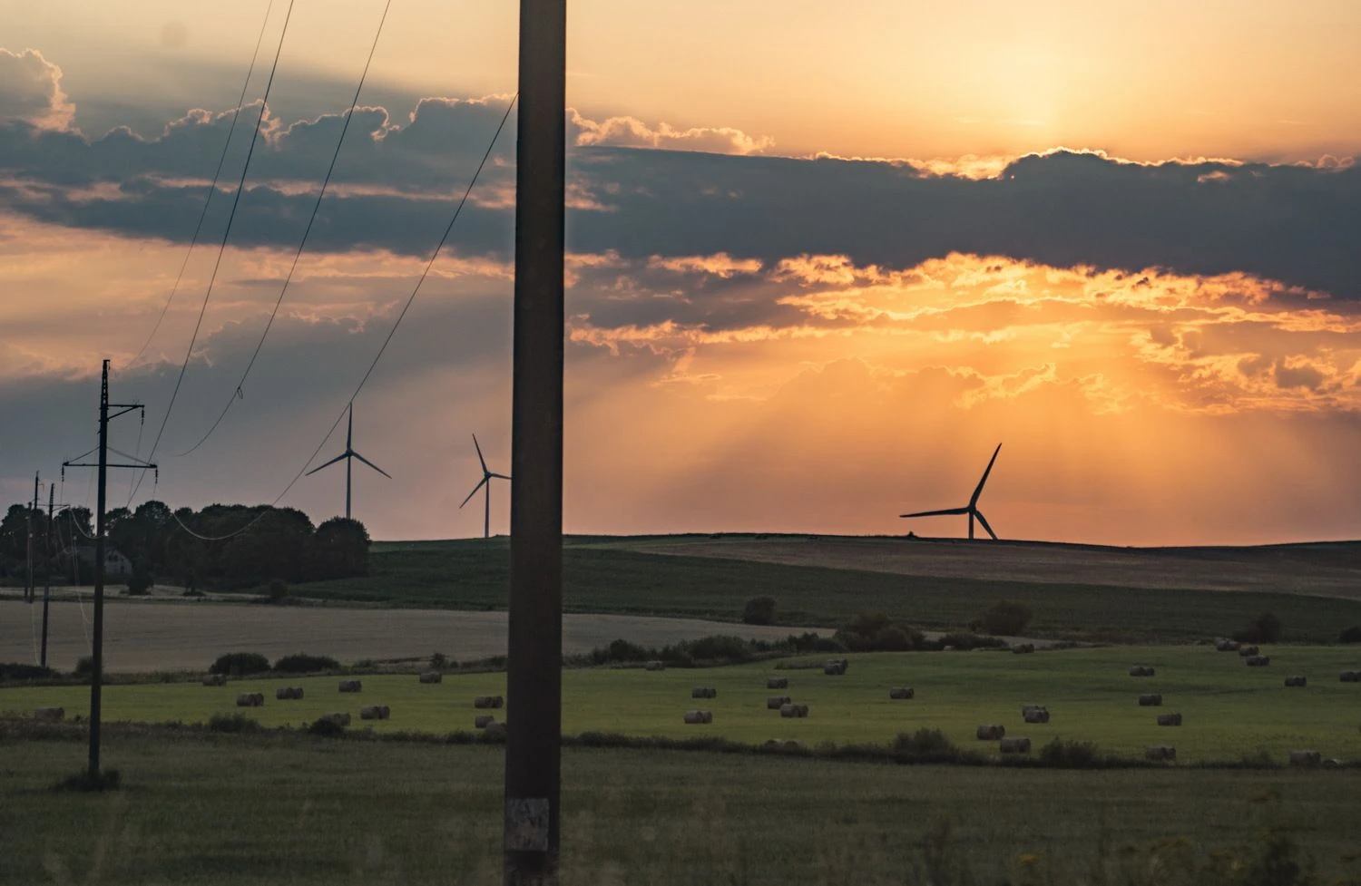 Algimanto Kalvaičio nuotr.