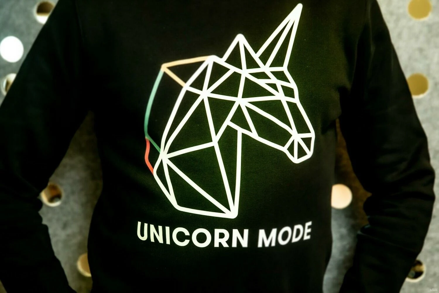 Vladimiro Ivanovo (VŽ) nuotr.