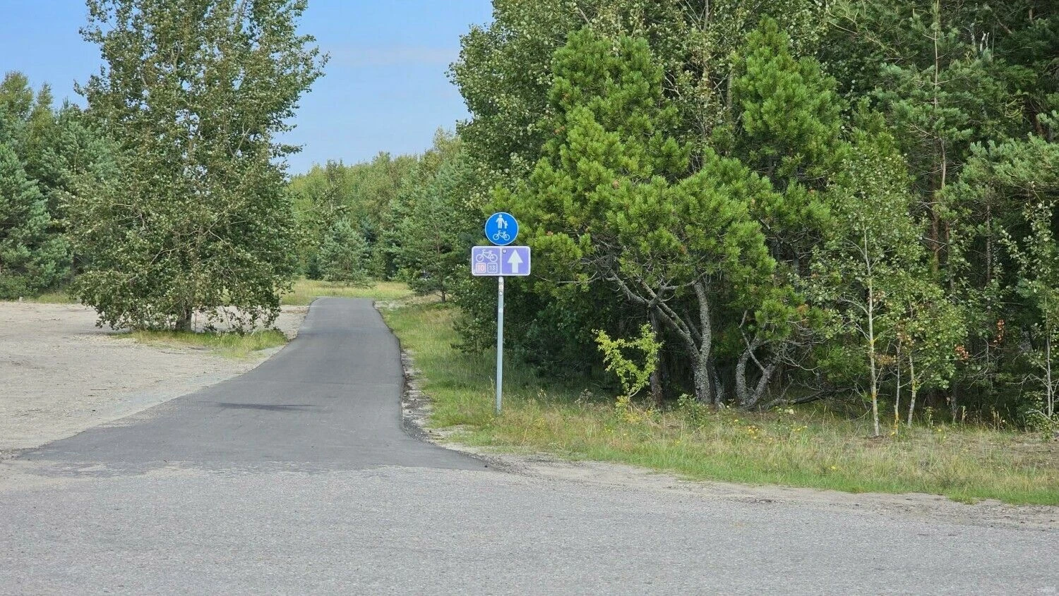 Lino Butkaus (VŽ) nuotr.