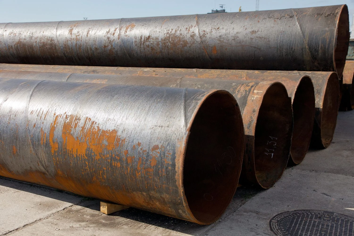 Algimanto Kalvaičio nuotr.