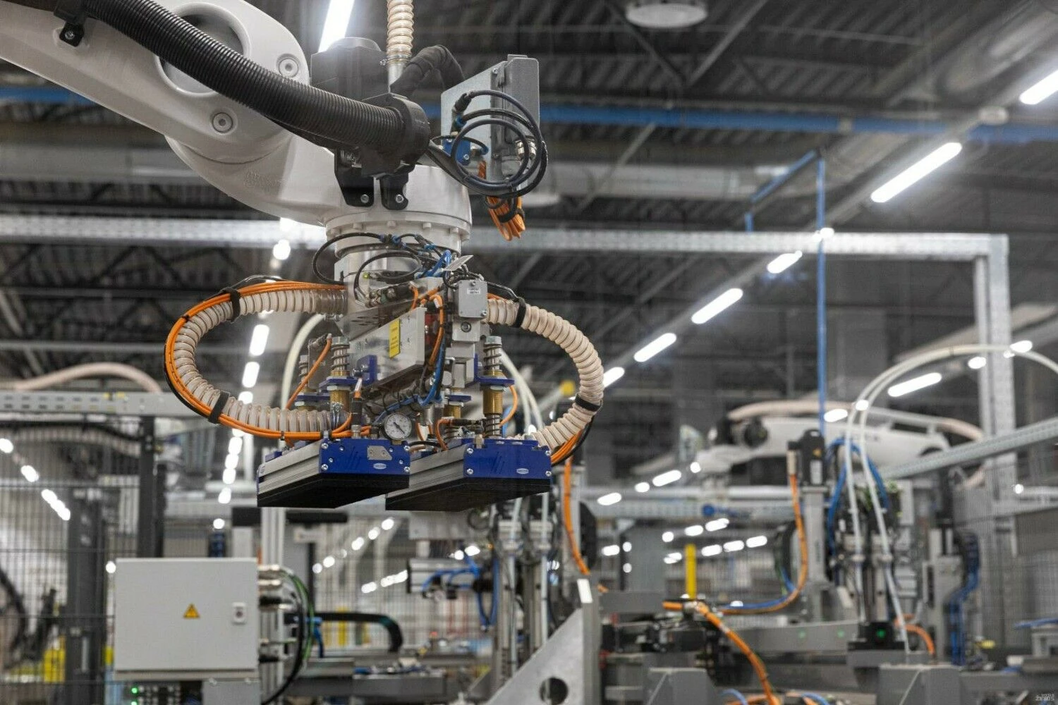 Juditos Grigelytės (VŽ) nuotr.