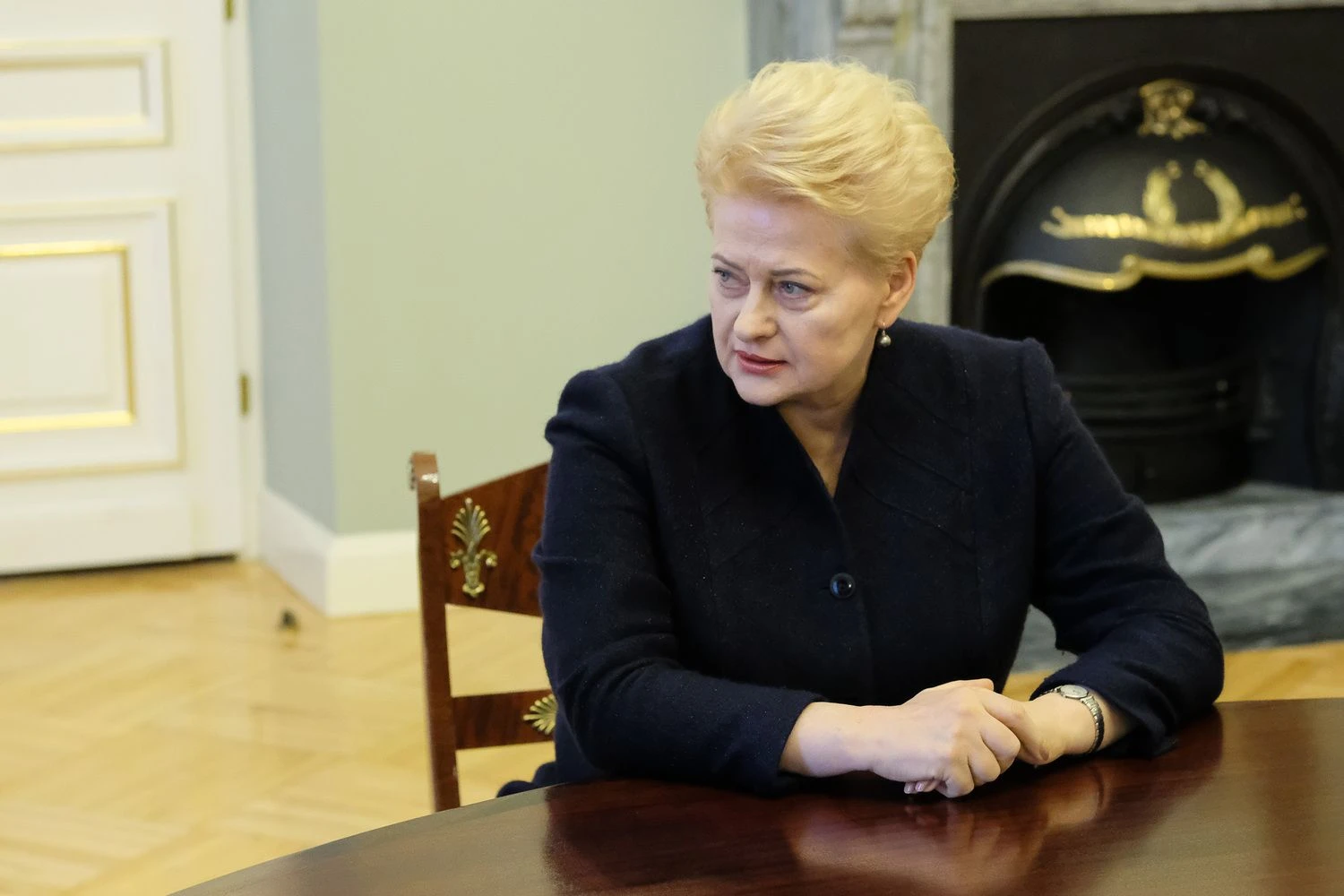 Prezidentė Dalia Grybauskaiotė. Vladimiro Ivanovo (VŽ) nuotr.