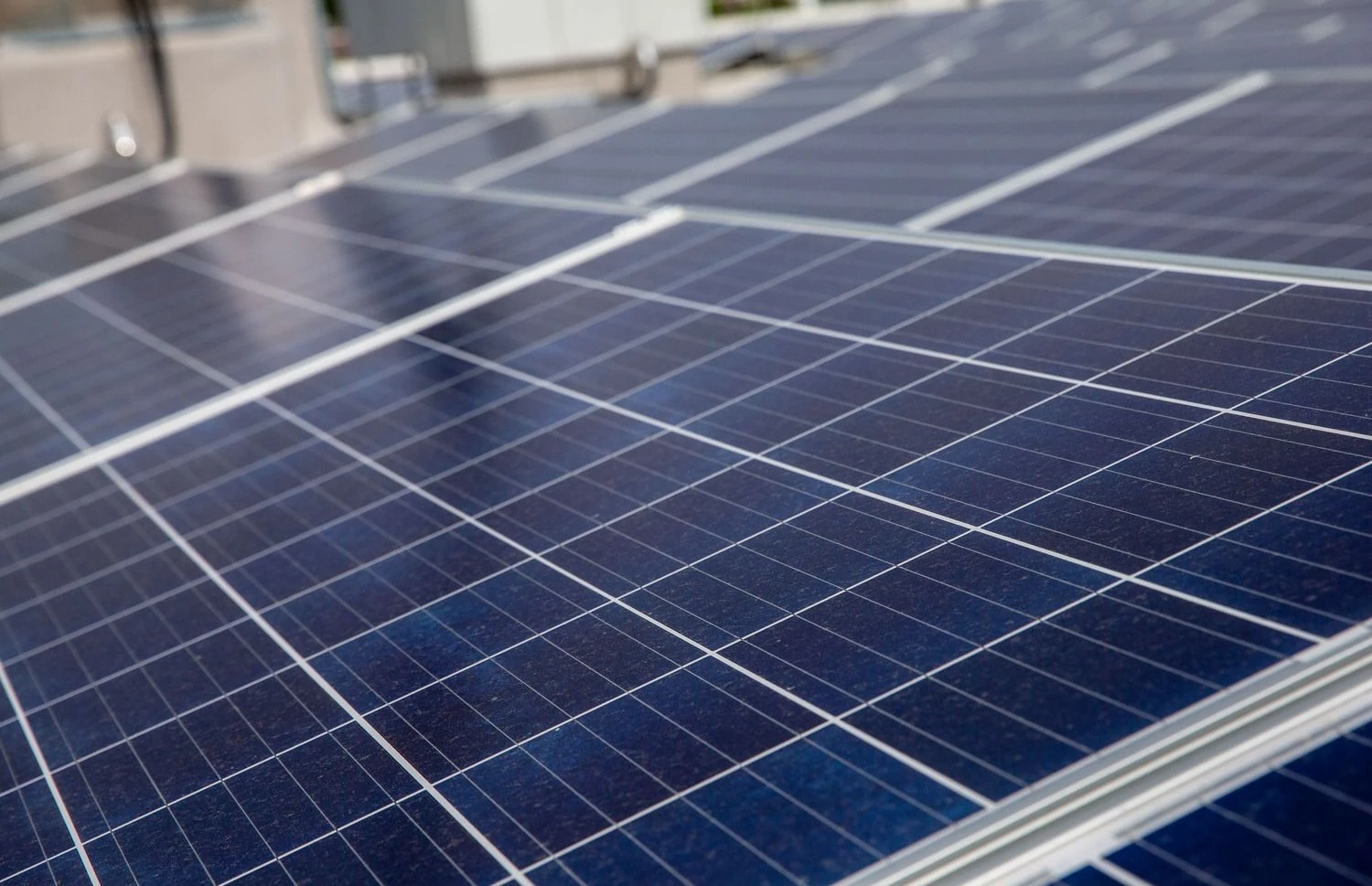 Juditos Grigelytės (VŽ) nuotr.