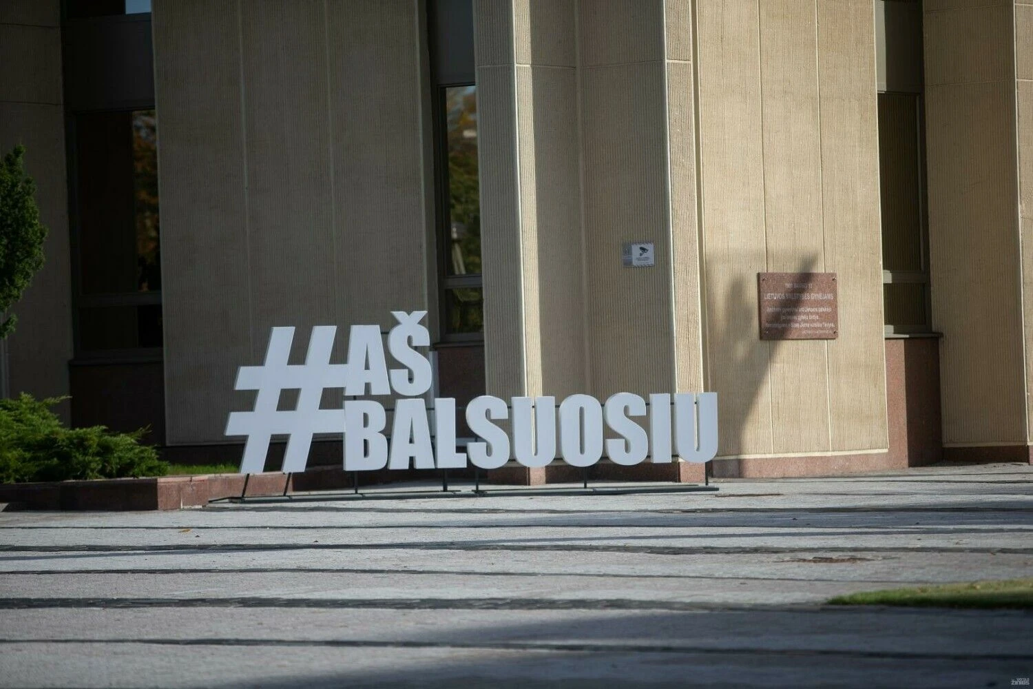 Vladimiro Ivanovo (VŽ) nuotr.